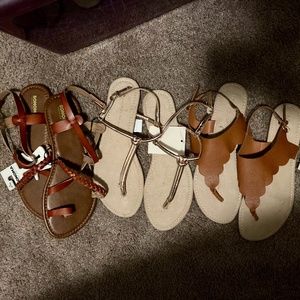 Sandal lot MUST GO!